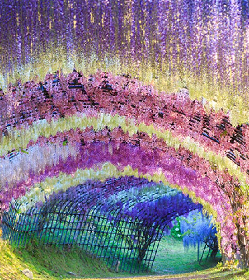 https://www.auroratour.com.tw/images/cgcustom/