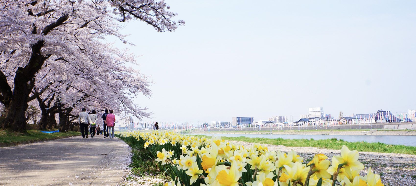 https://www.auroratour.com.tw/images/cgcustom/北上展勝地Banner
