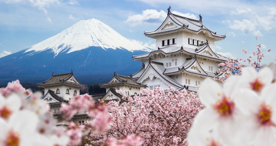 大人の旅行