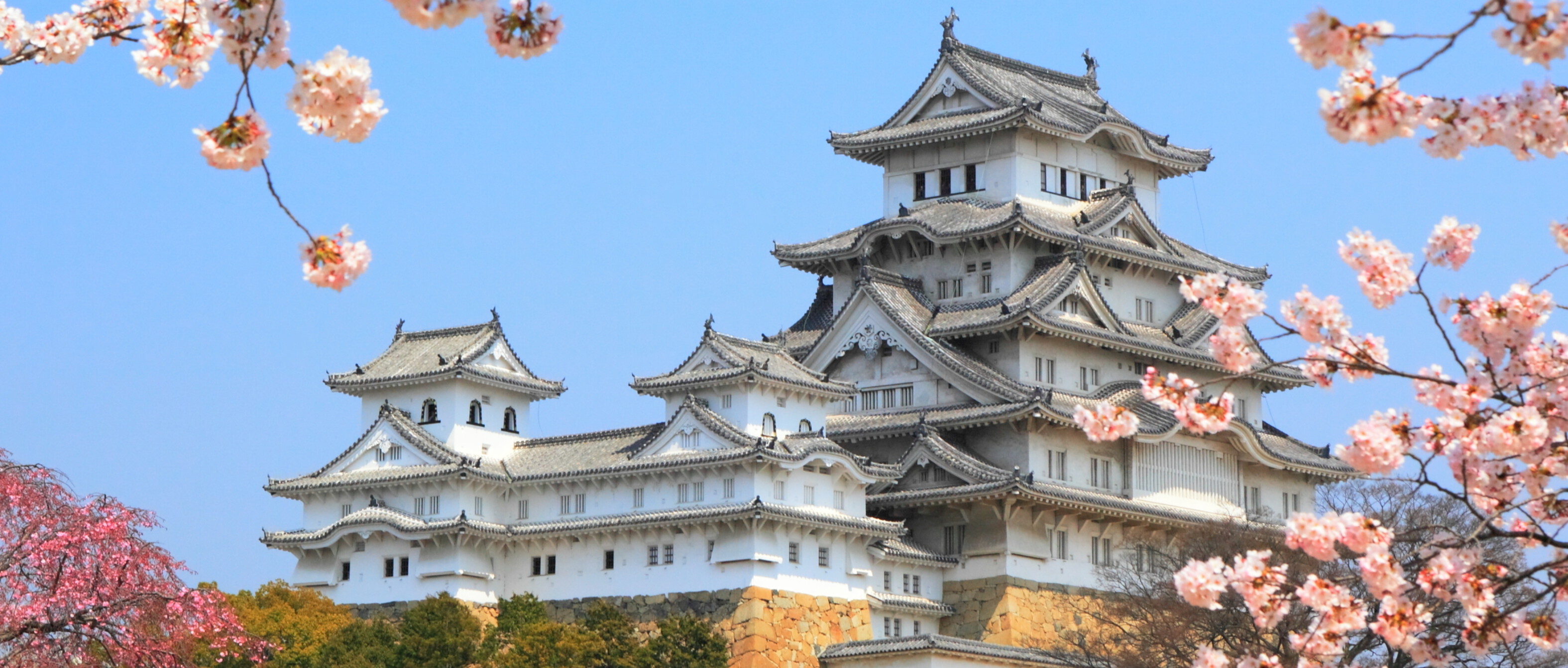 https://www.auroratour.com.tw/images/cgcustom/result_320shutterstock_73691746_姬路城櫻