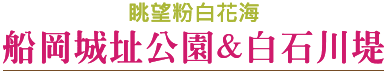 202504htt7 w12