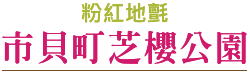 202504htt7 w13