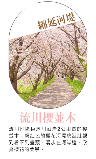 202603sf52 w0802 min