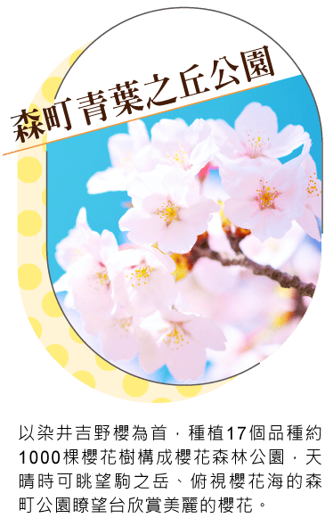 202604ccn5 w0602 min