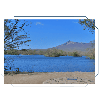 202604ccn5 w0504 min