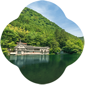 202605ffy5 v01 290 min