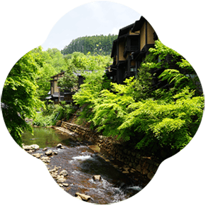 202605ffy5 v02 290 min