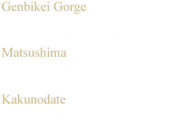 202605sdj5 w0303 min