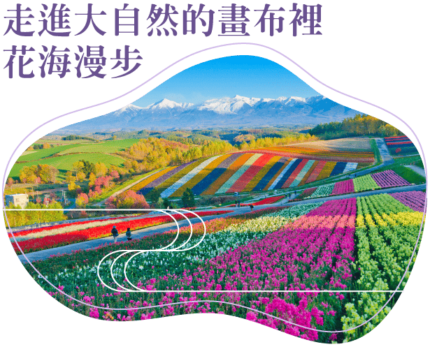 202606scc5 w0202 min