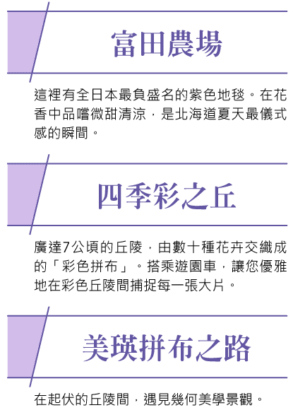 202606scc5 w0301 min