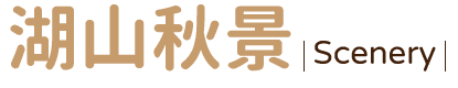 202611tyu5 w0203 min