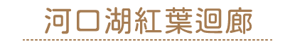 202611tyu5 w0502 min copy