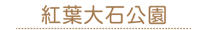 202611tyu5 w08 min