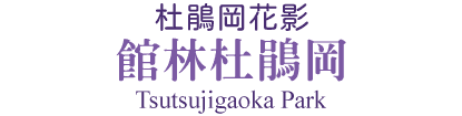 202704tik5 w004 min